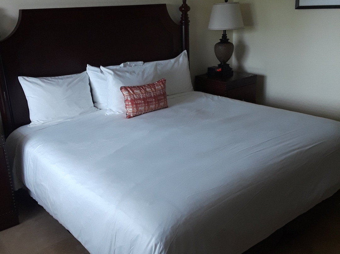 康伯尼豪斯酒店主图