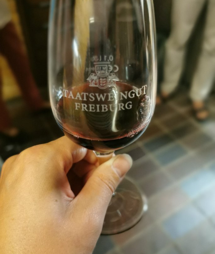 Staatsweingut Freiburg-佛莱堡必去景点
