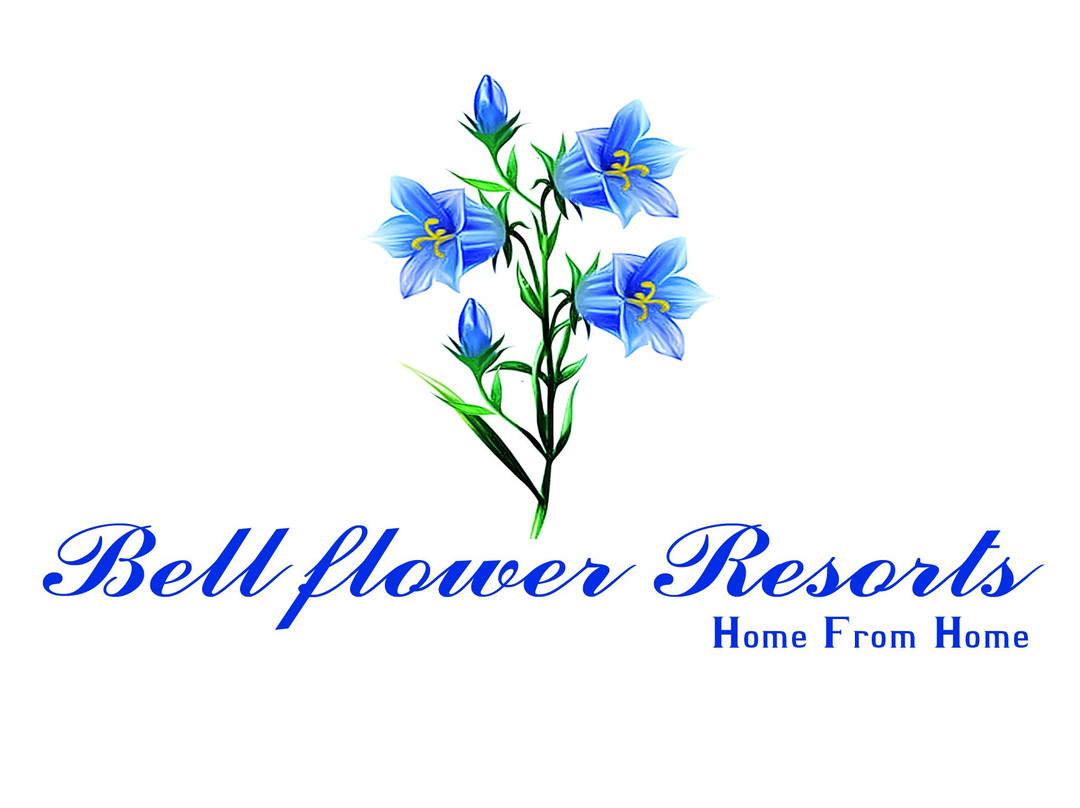 OYO 8731 Bell flower主图