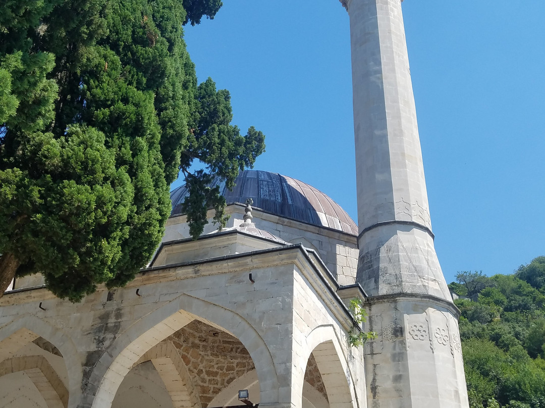 Šišman Ibrahim Pasha Mosque景点图片