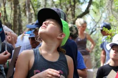 Ingwe Forest Adventures-普利登堡湾必去景点