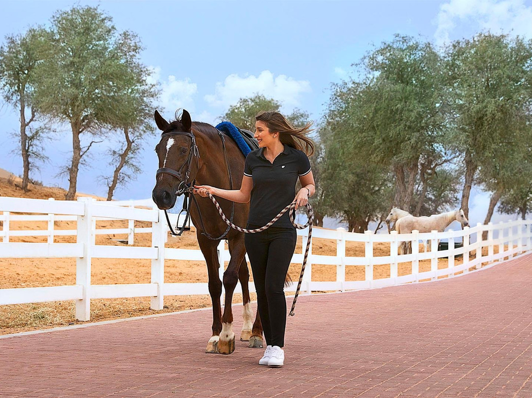 Equestrian Center at Al Wadi Desert-哈伊马角必去景点