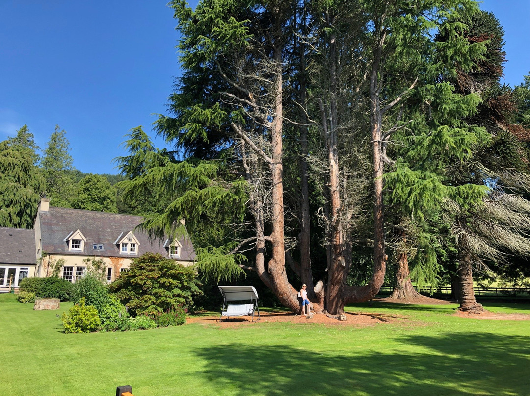 Old Drynie House主图