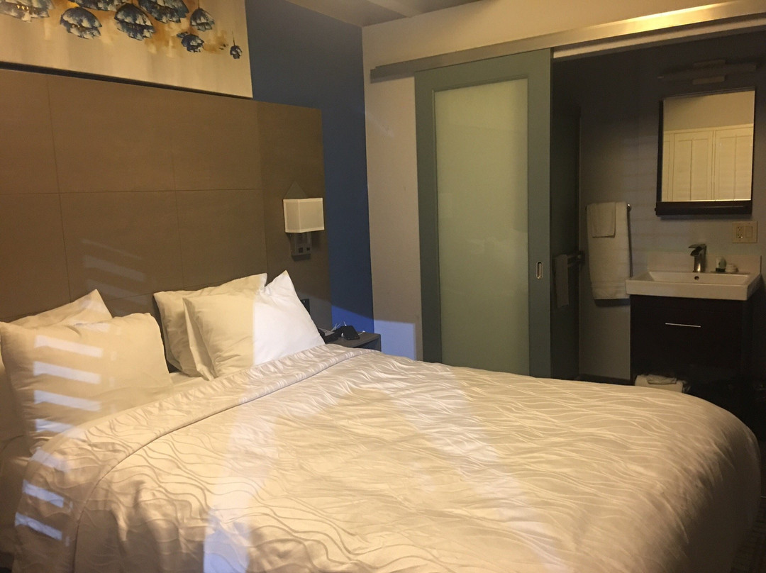 Silicon Valley Inn主图