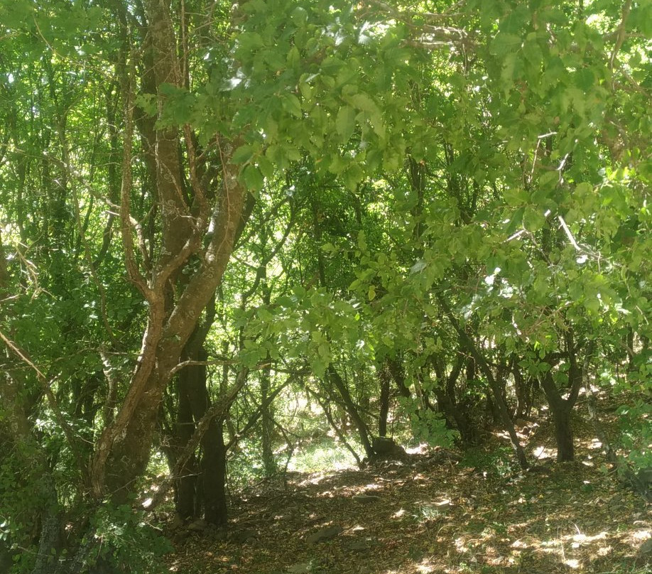 Ganos Yolu-Sarkoy必去景点