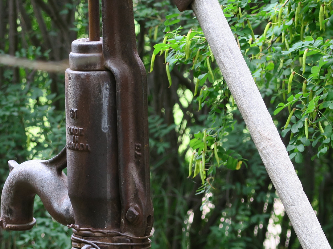 史蒂芬森宅邸省立历史遗址-Markerville必去景点