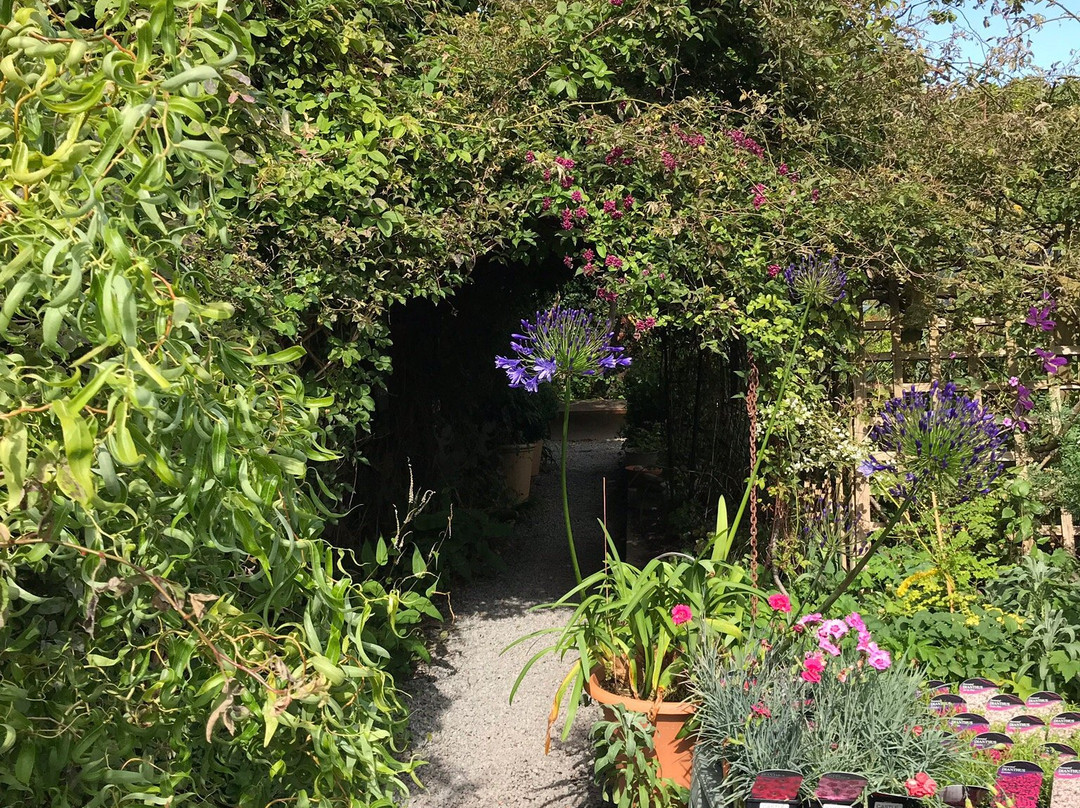 Castle Gardens Beaumaris景点图片