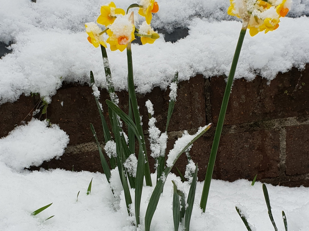 招待所莱蒂齐亚酒店主图