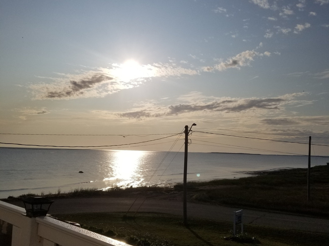 Gîte Havre de la Dune B&B主图