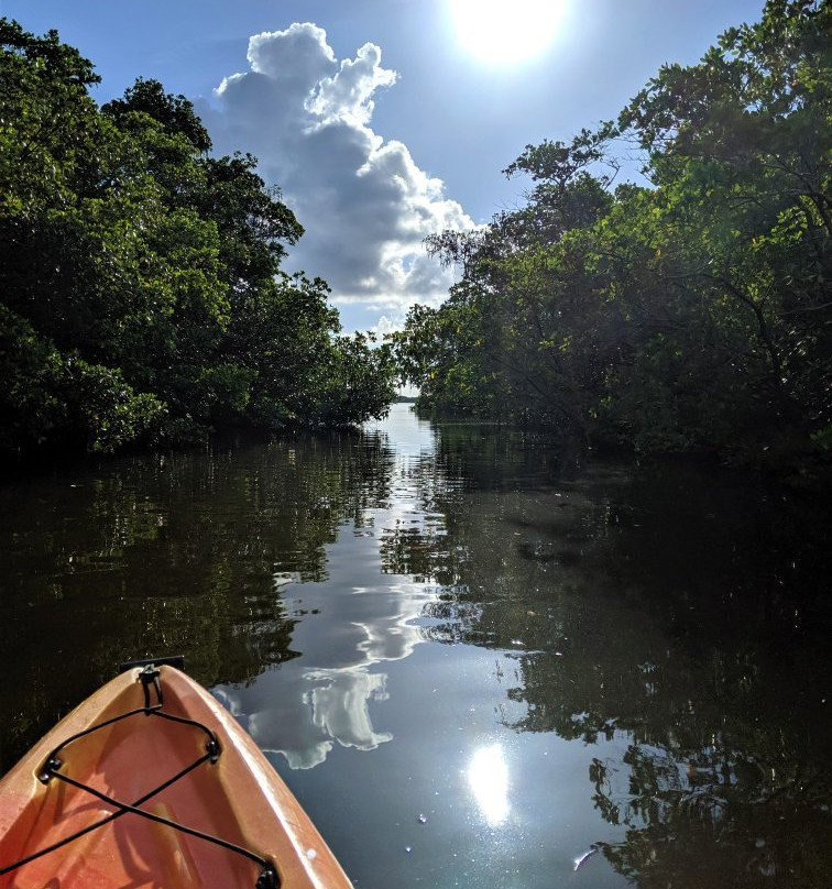 Seaside Kayaking-博尼塔斯普林斯必去景点