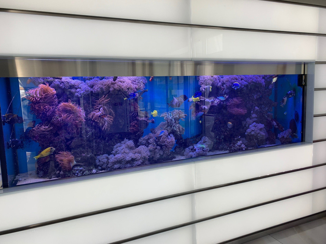 Uva Nestum Wine & SPA主图