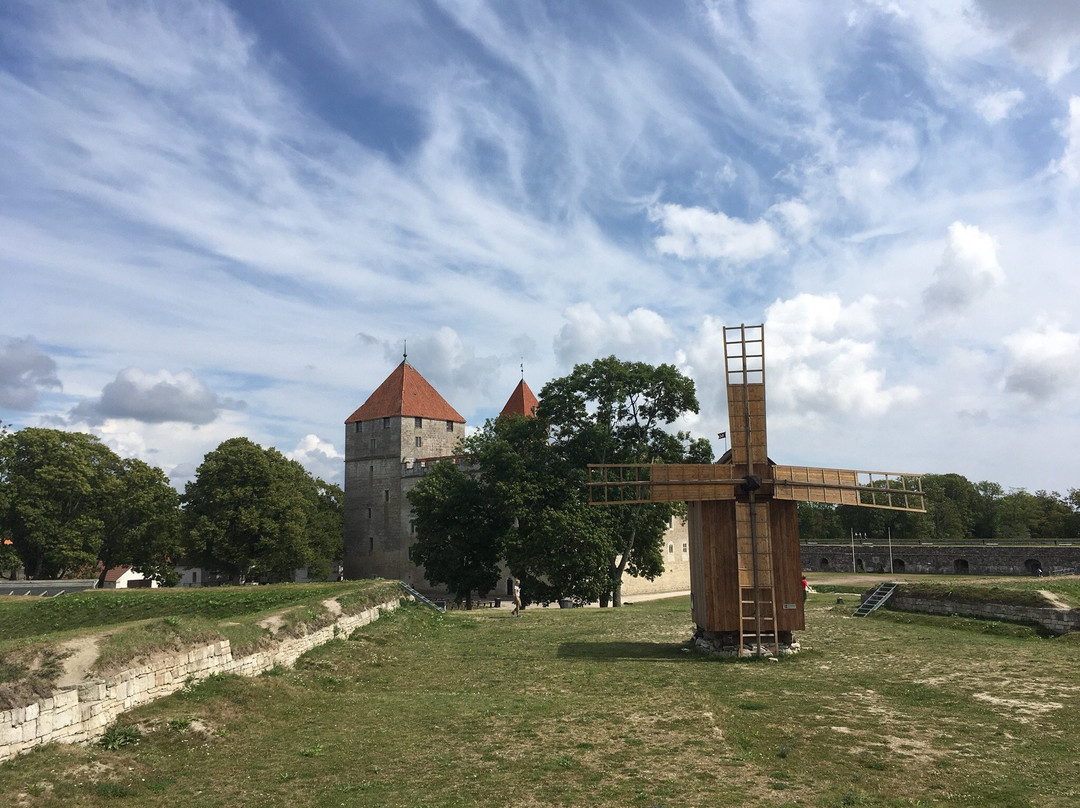 Saaremaa Museum景点图片