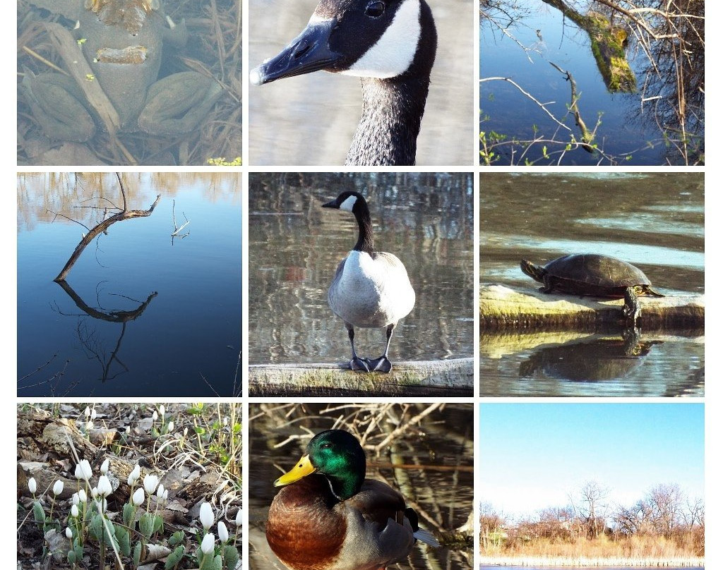 Heron Haven-奥马哈必去景点