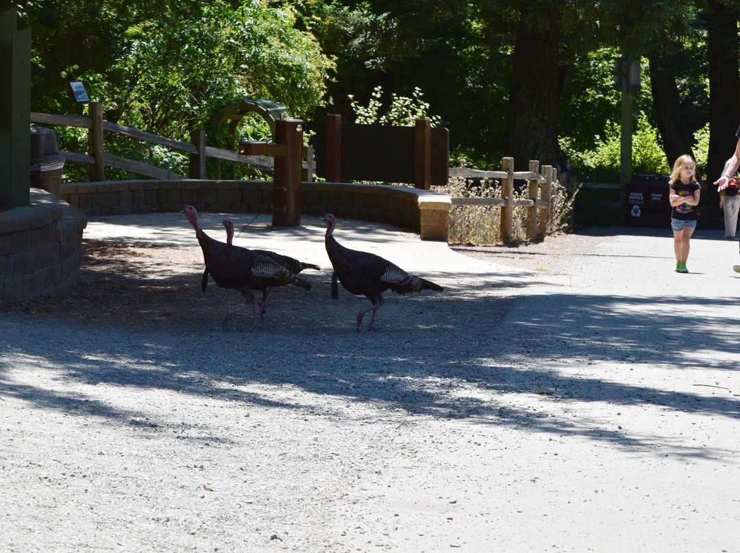 提尔顿国家公园-伯克利必去景点