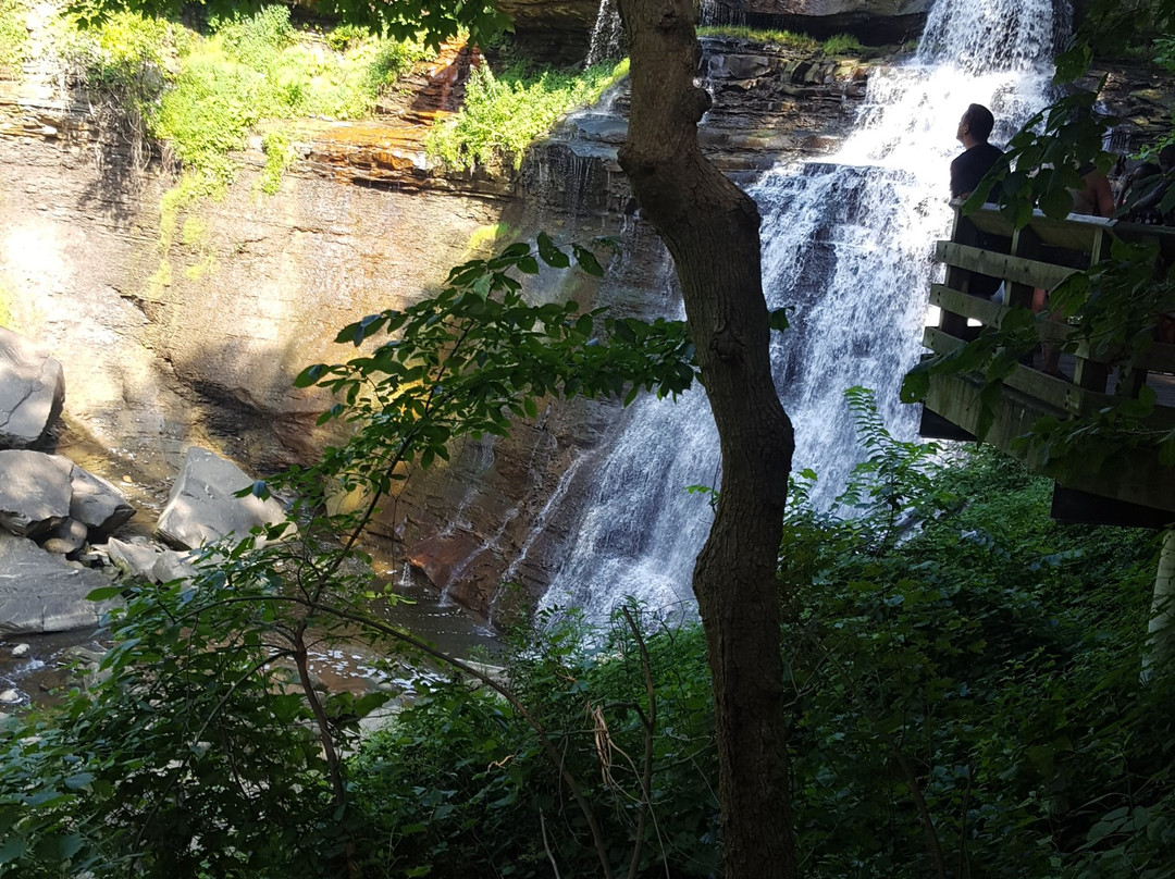 The Inn At Brandywine Falls主图