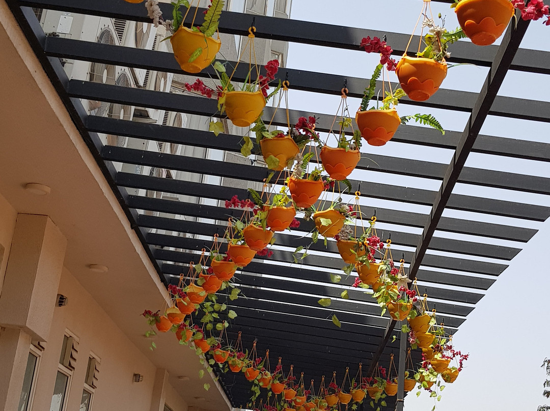 5 Flowers Ananta Elite主图