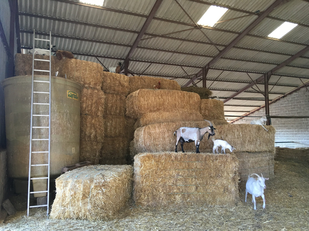 Jozerand旅游攻略图片