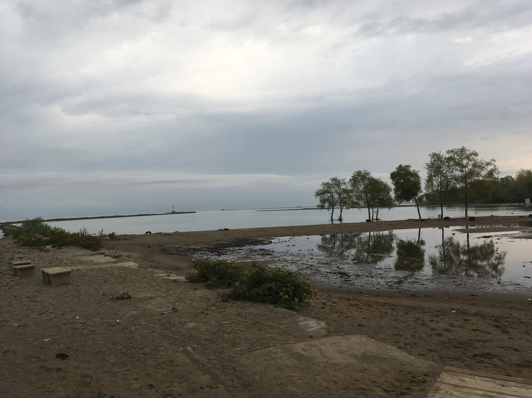 Conneaut Township Park景点图片