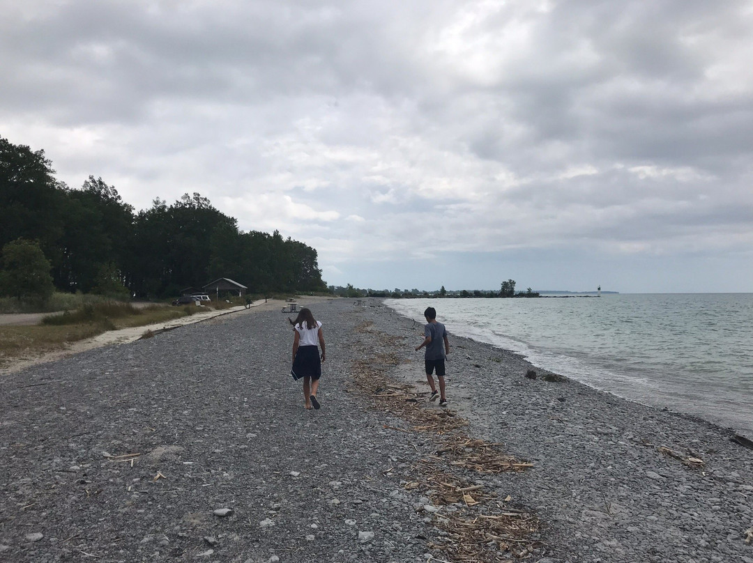 Wellington Rotary Beach景点图片