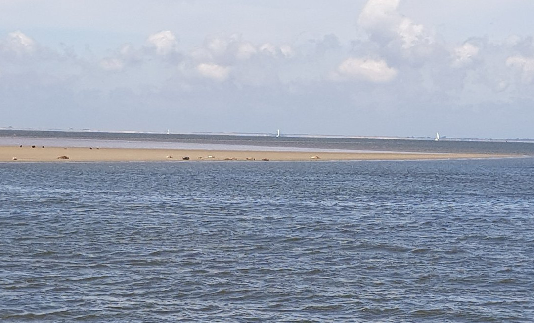 De Zee Leeft-Den Oever必去景点