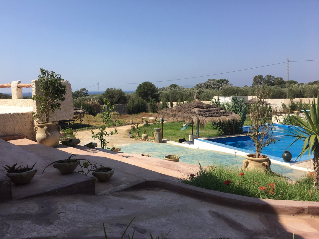 Zembretta Farm-Zembrettita主图