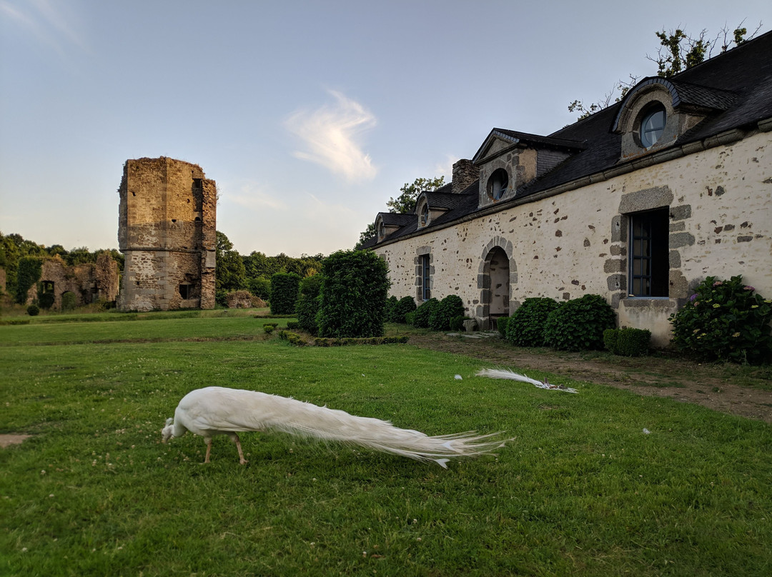 Chateau De La Chasse-Guerre主图