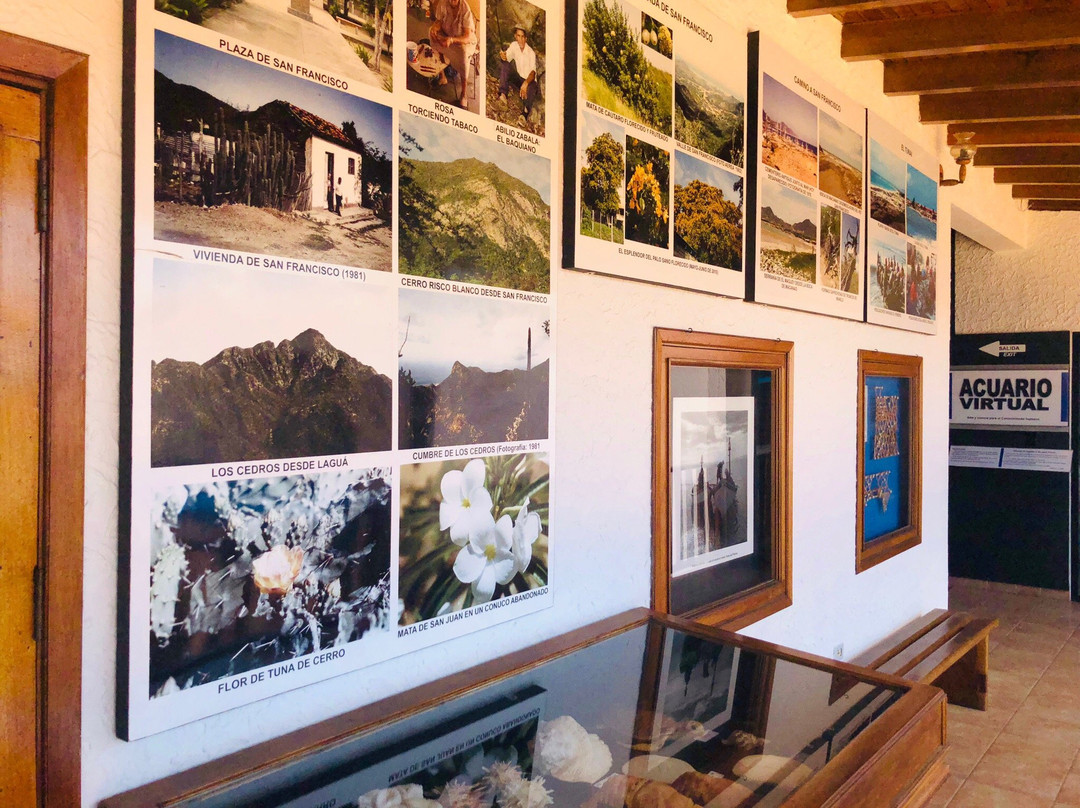 Museo Marino de Margarita景点图片