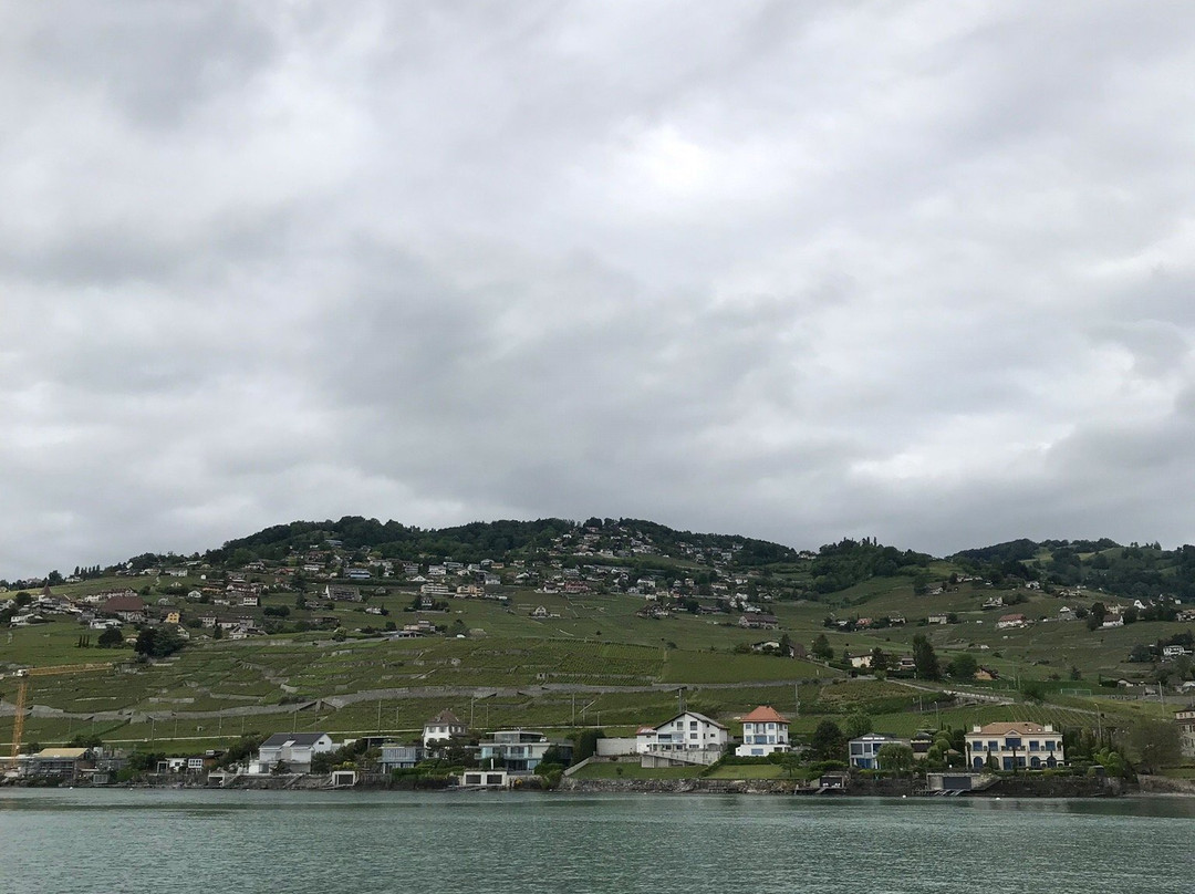 La Suisse - Belle Epoque - Paddle Steamboat景点图片