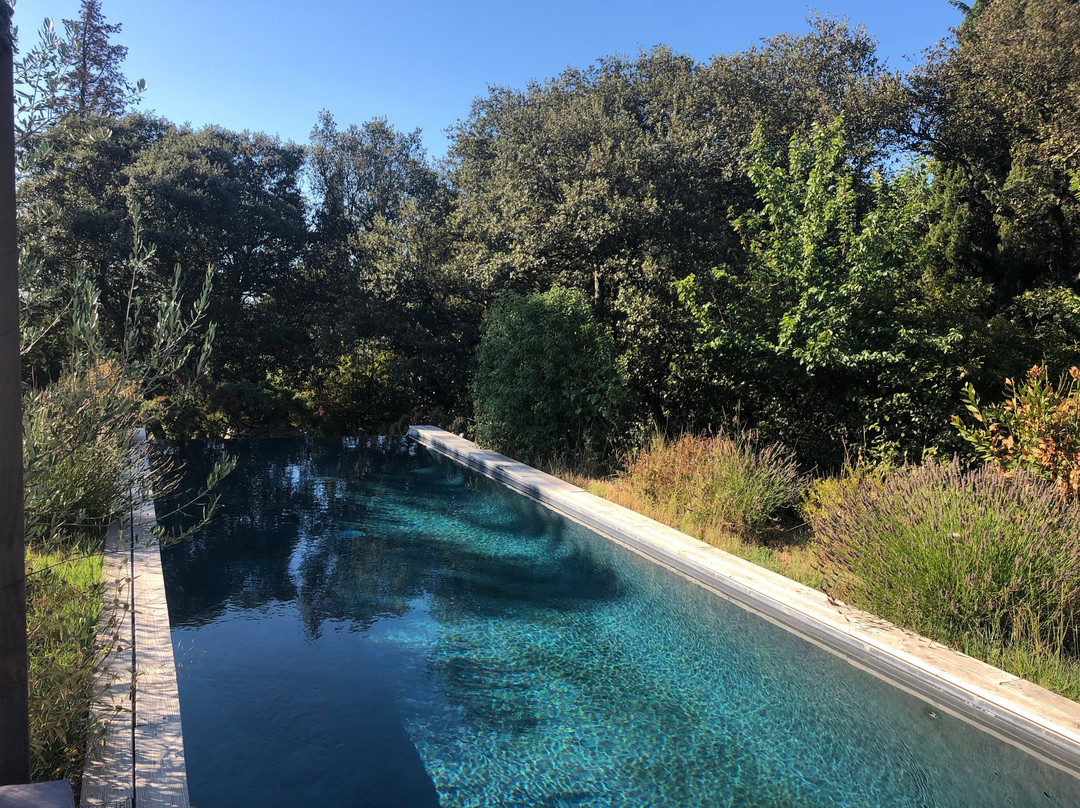 Bien Loin D'ici - Spa B&b主图