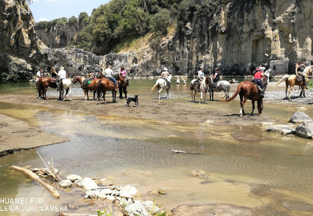 Maneggio Jolly Horse景点图片