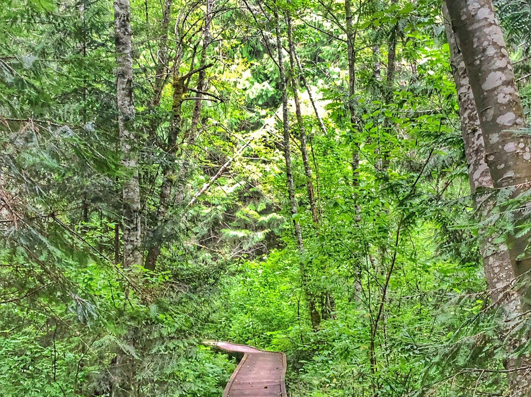 Skagit Valley Provincial Park-霍普必去景点