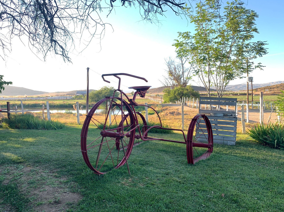 La Cava de Marcelo-恩塞纳达必去景点