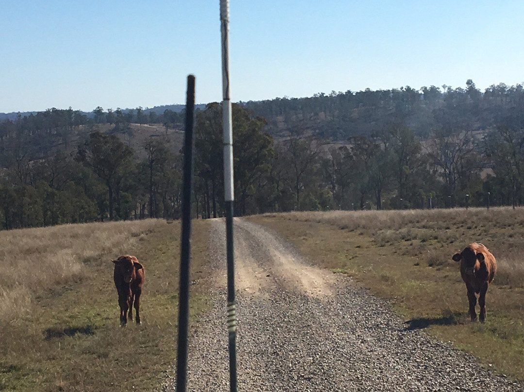 The Block Vista B&B主图