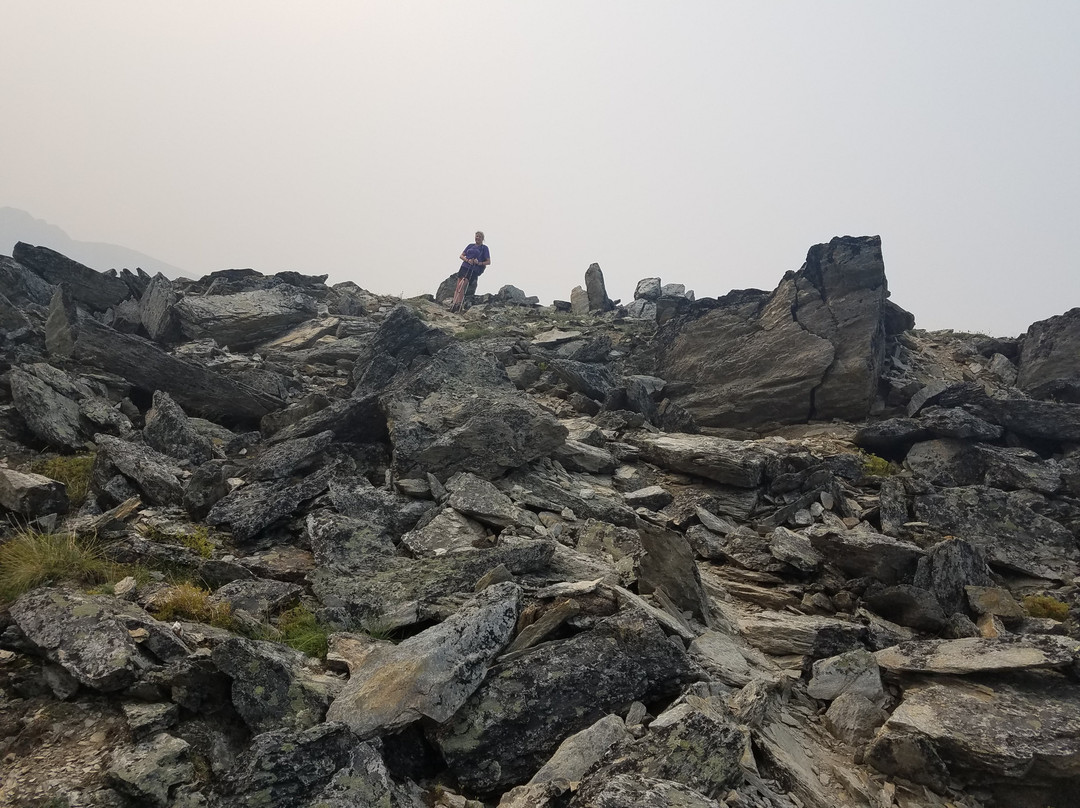 Savage Alpine Trail-德纳利国家公园和自然保护区必去景点