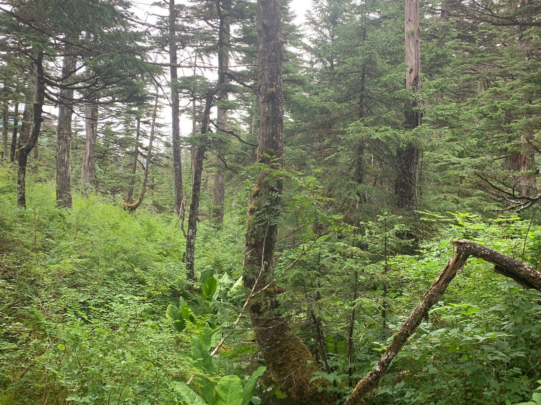 Emerald Cove Trail-惠提尔必去景点