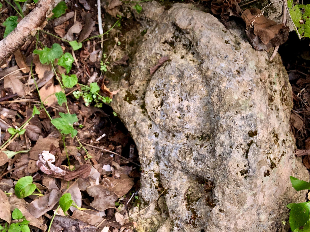 Kuluba-Tizimin必去景点