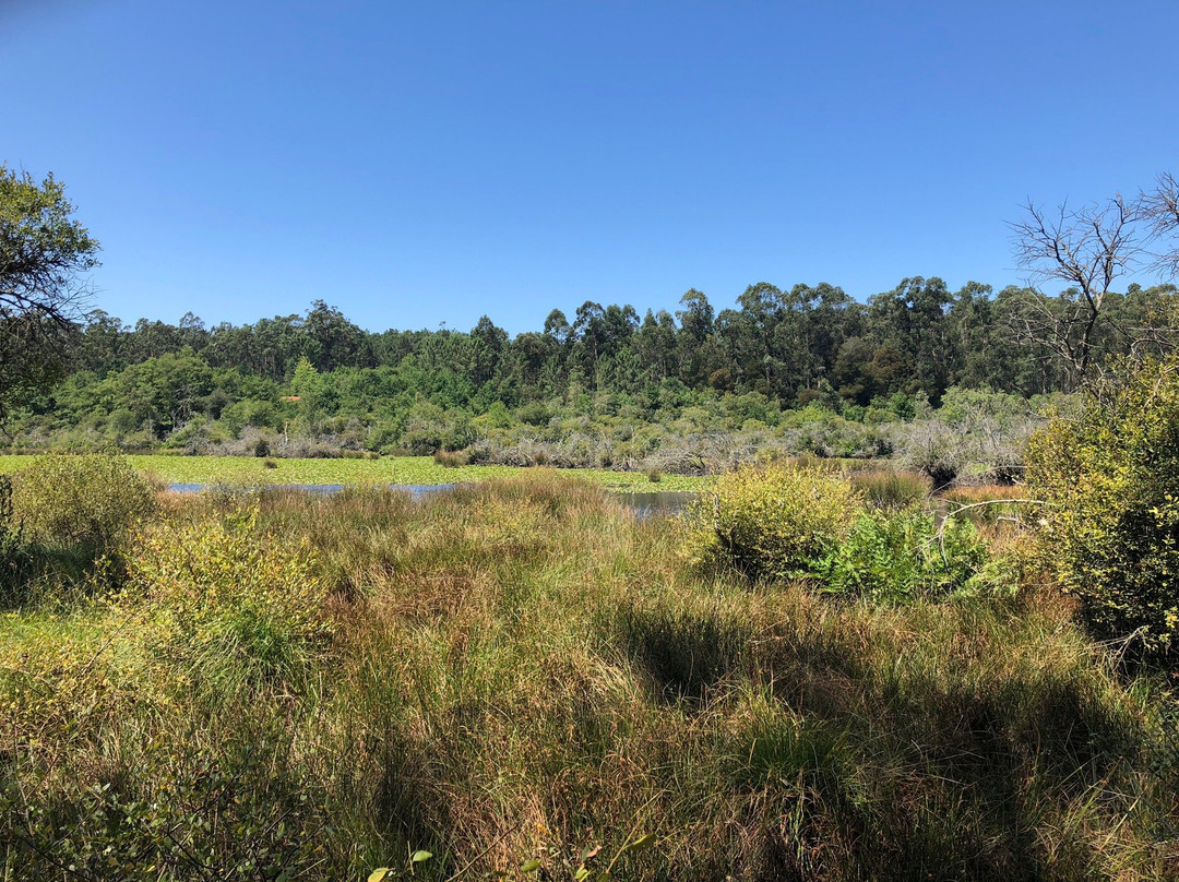 Lagoas de Bertiandos e S. Pedro de Arcos-蓬蒂－迪利马必去景点