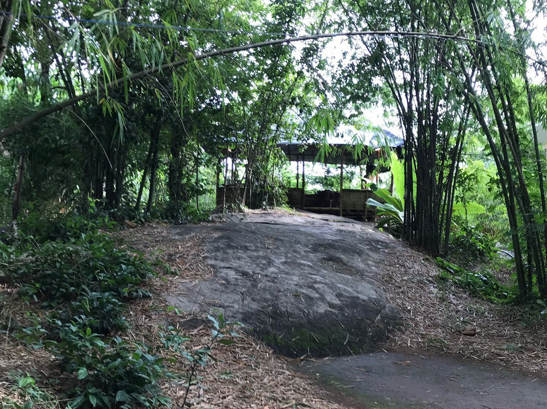 Uravu Bamboo Grove - A Wandertrails Showcase主图