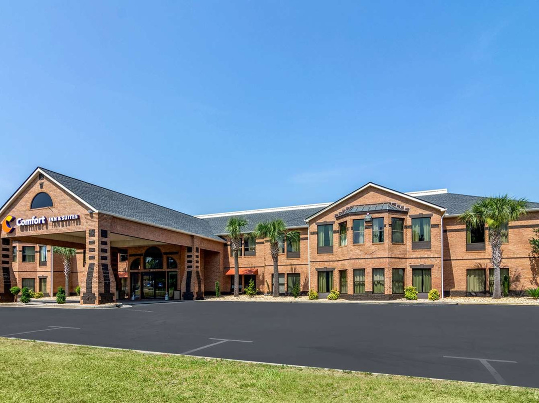 Comfort Inn & Suites主图