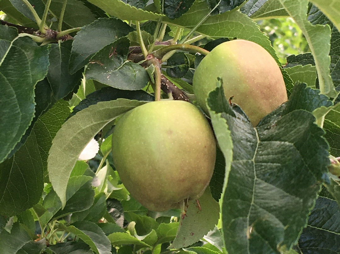 Sentiero della mela-Naz-Sciaves必去景点