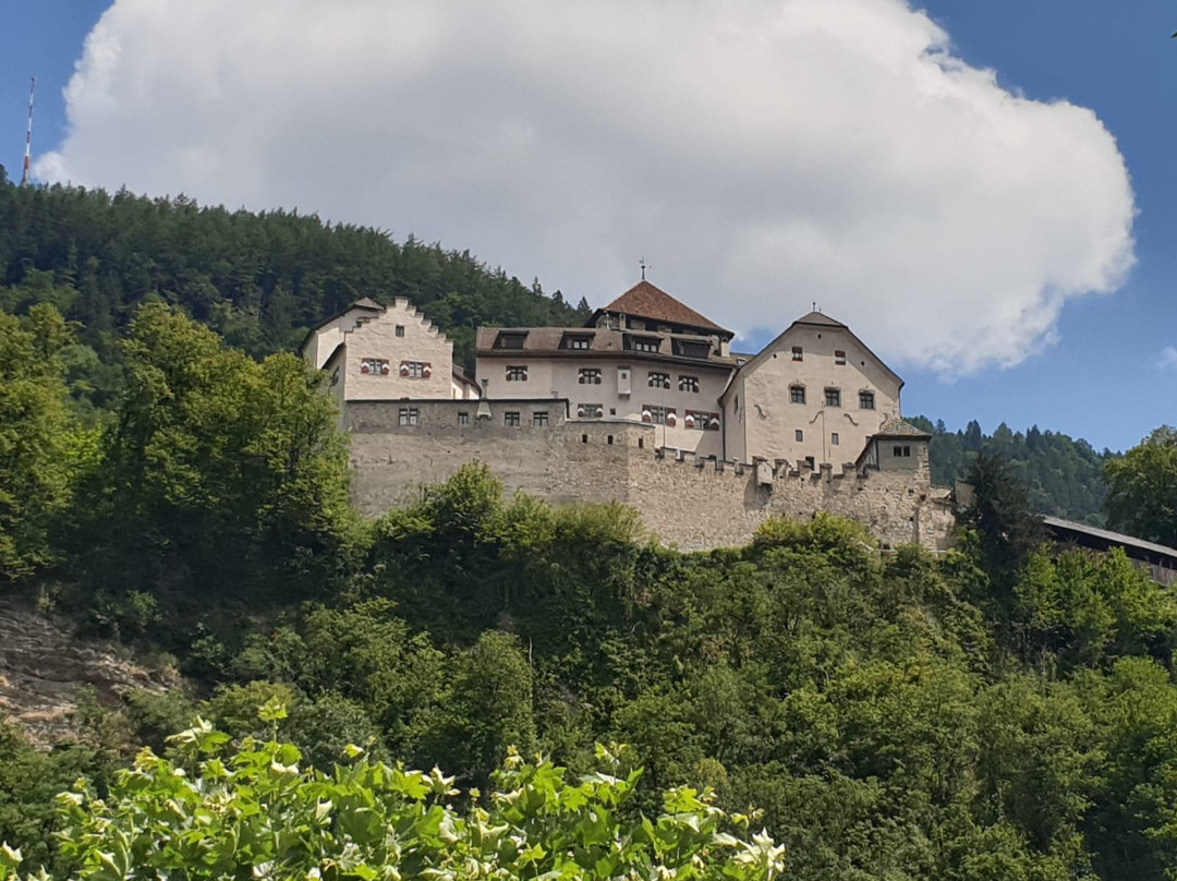 Vaduz Castle景点图片