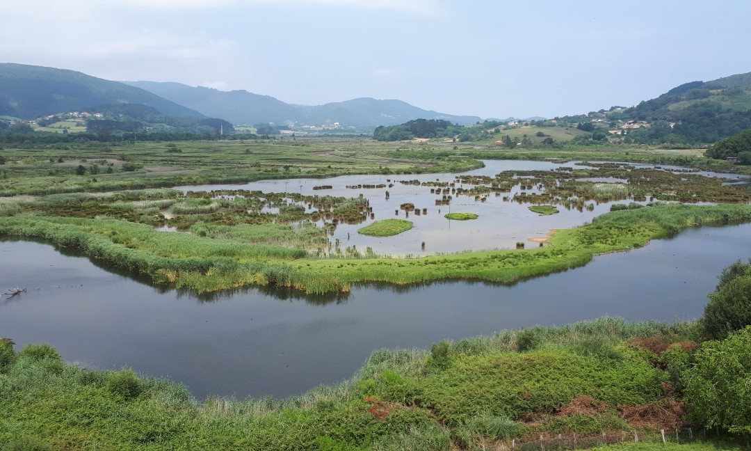 Urdaibai Bird Center景点图片