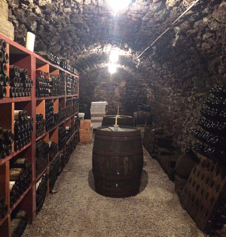 Maison en Champagne Liebart Nathalie-Venteuil必去景点