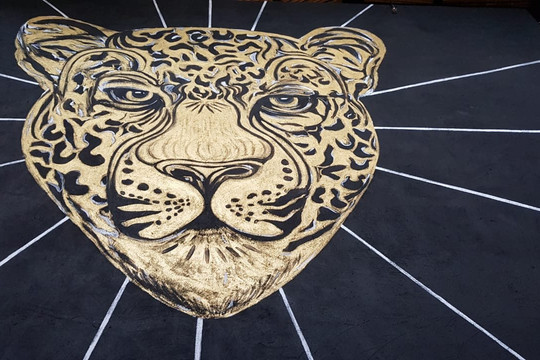 Viajero Cali Hostel主图