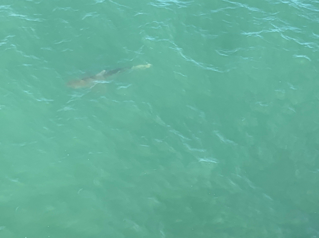 Second Avenue Pier-美特尔海滩必去景点