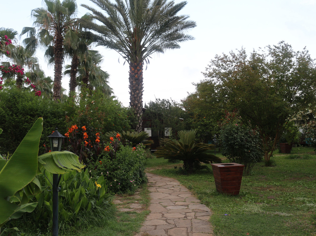 Hemerans Anatolia Resort Hotel主图
