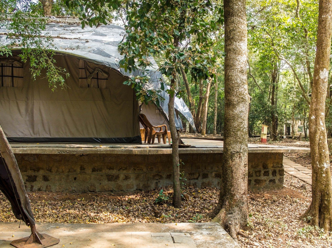 Seethanadi Nature Camp主图