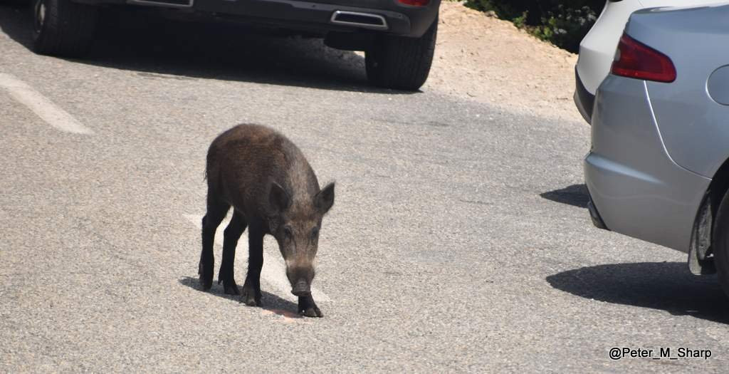 拉内斯克峡谷-Monieux必去景点