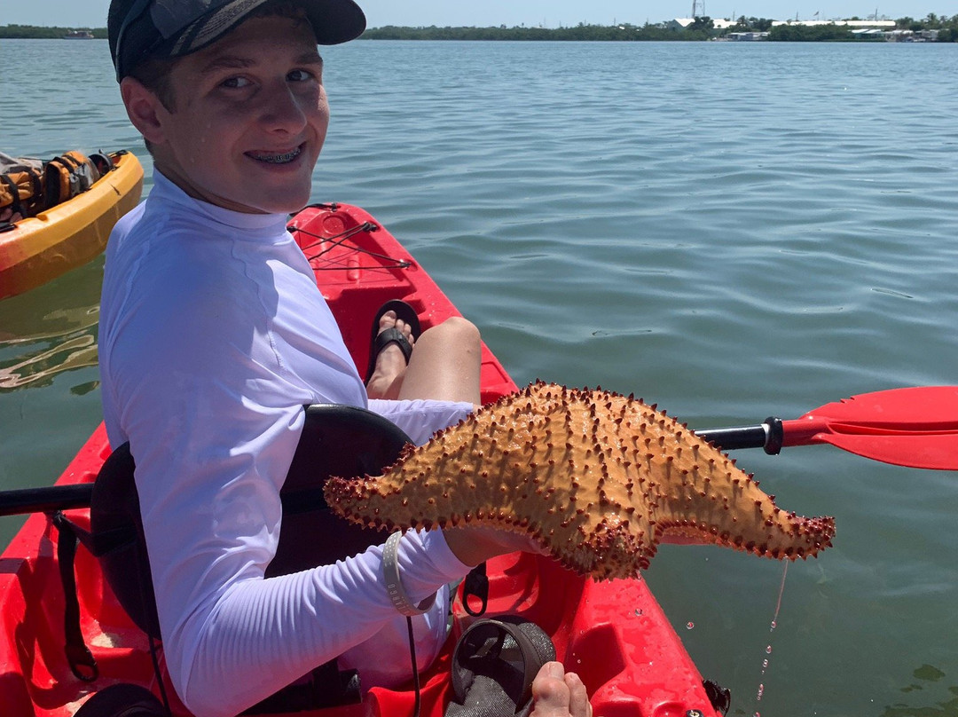 Aquaholic Adventures-拉哥岛必去景点