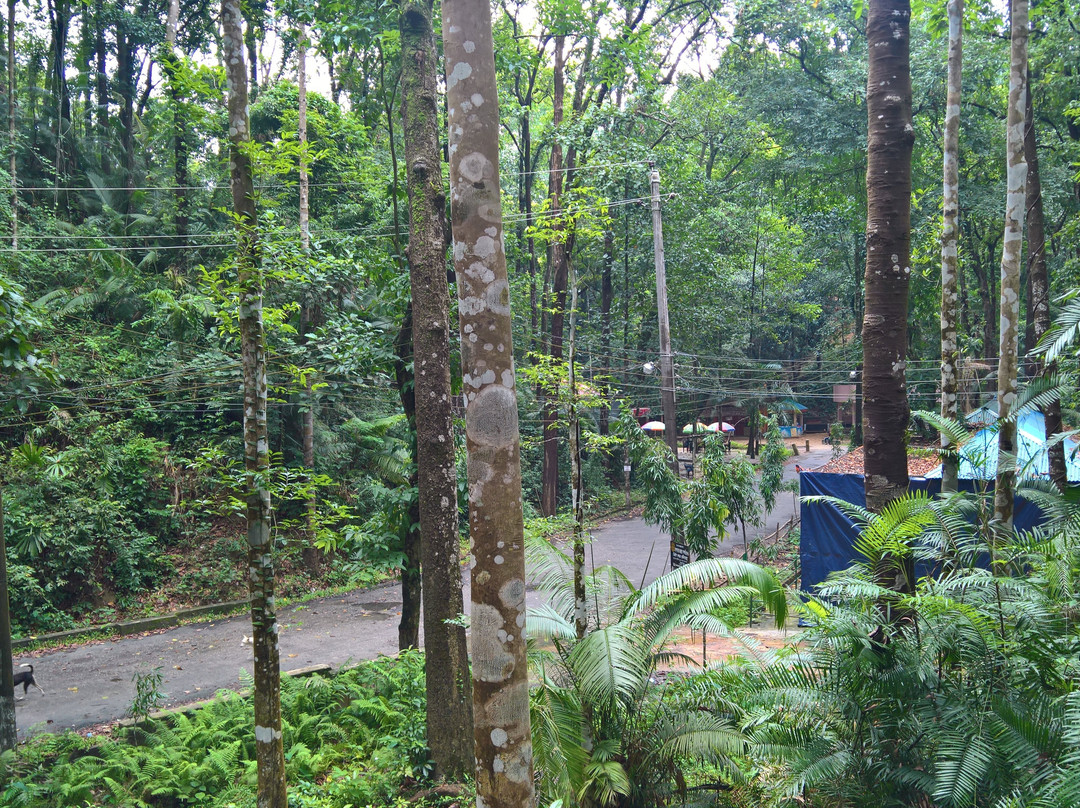 Tilagor Eco Park
